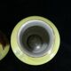 Pair of Limoges porcelain vases decorated with rose bushes