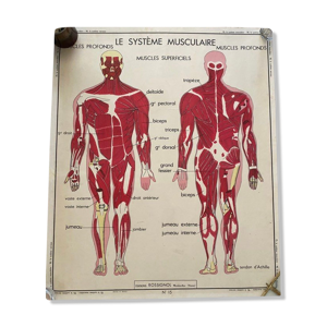 Affiche scolaire ancienne