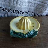 Citrus press lemon in slurry