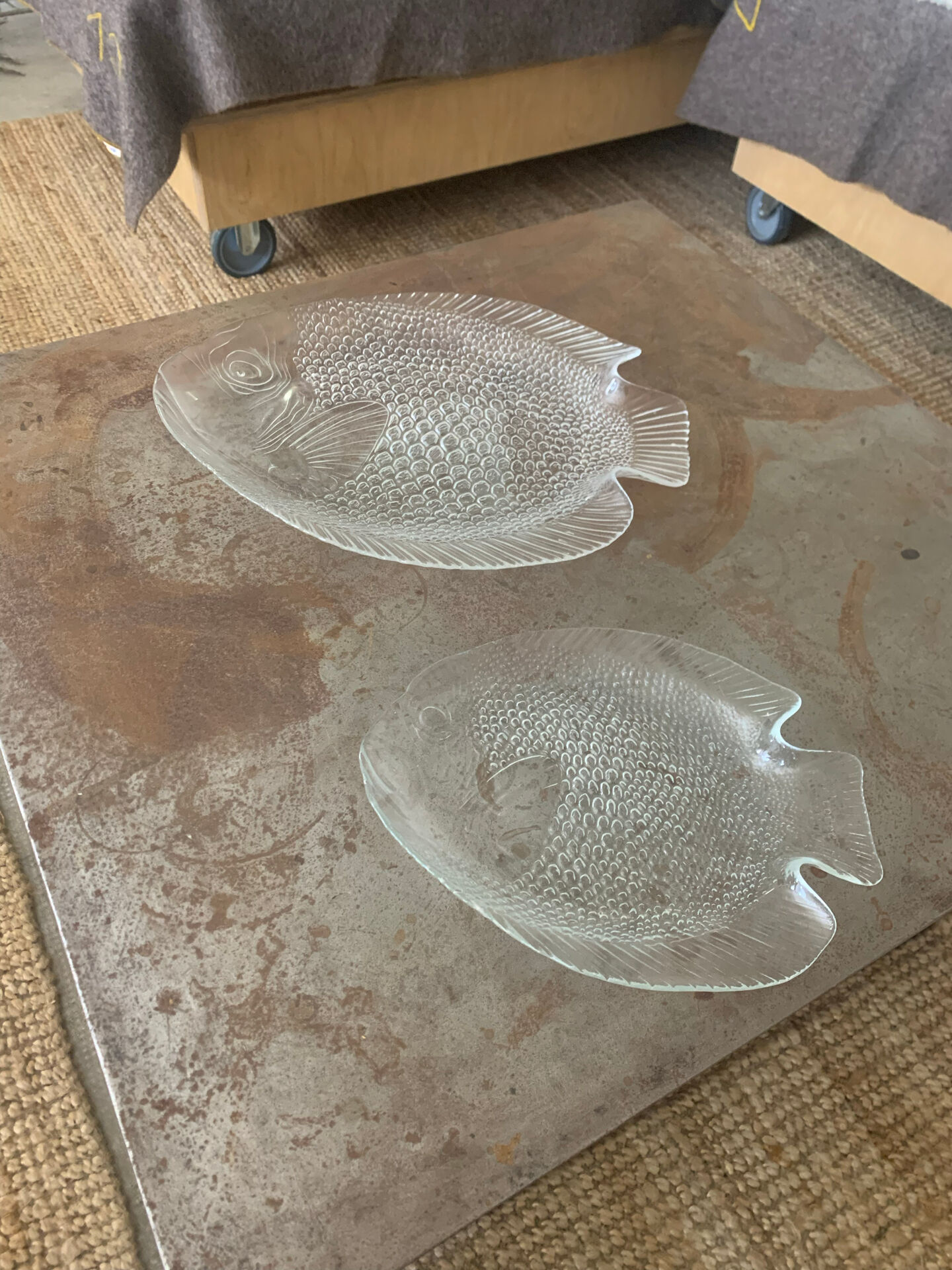Arcoroc dishes for Codec