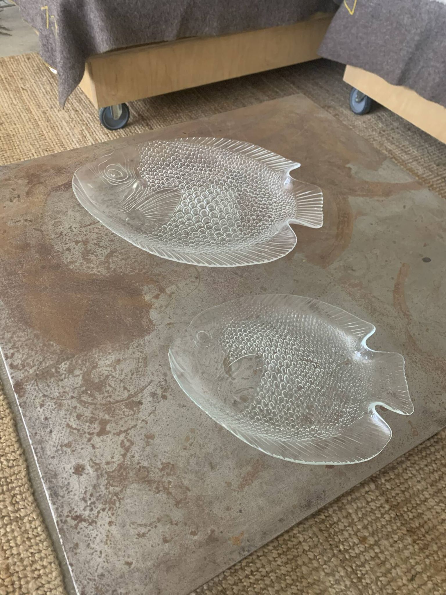 Arcoroc dishes for Codec