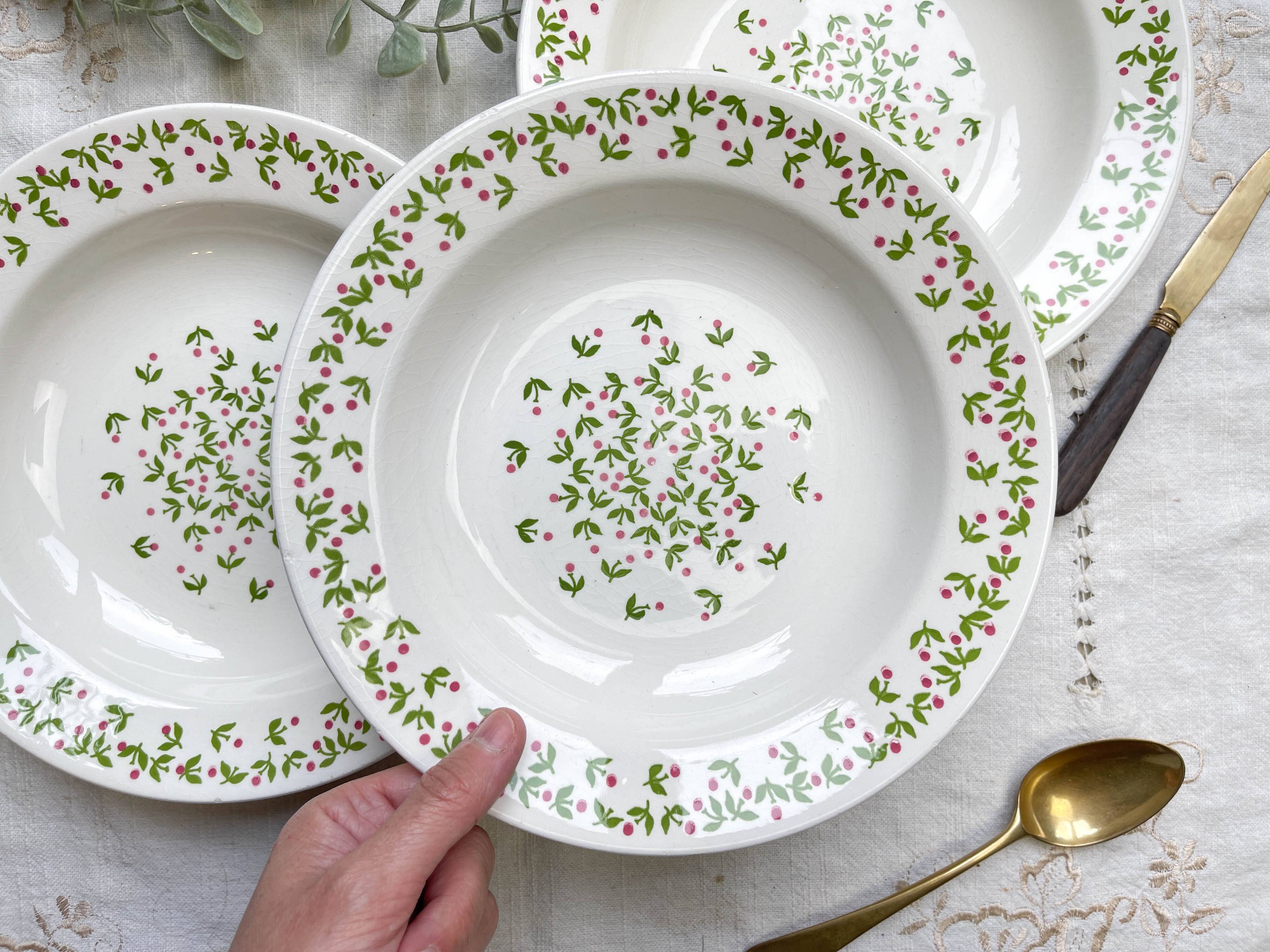 Deep plates Ironstone Italian Giovanni Valdarno pattern green red