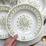 Assiettes creuses Ironstone Italienne Giovanni Valdarno motif vert rouge