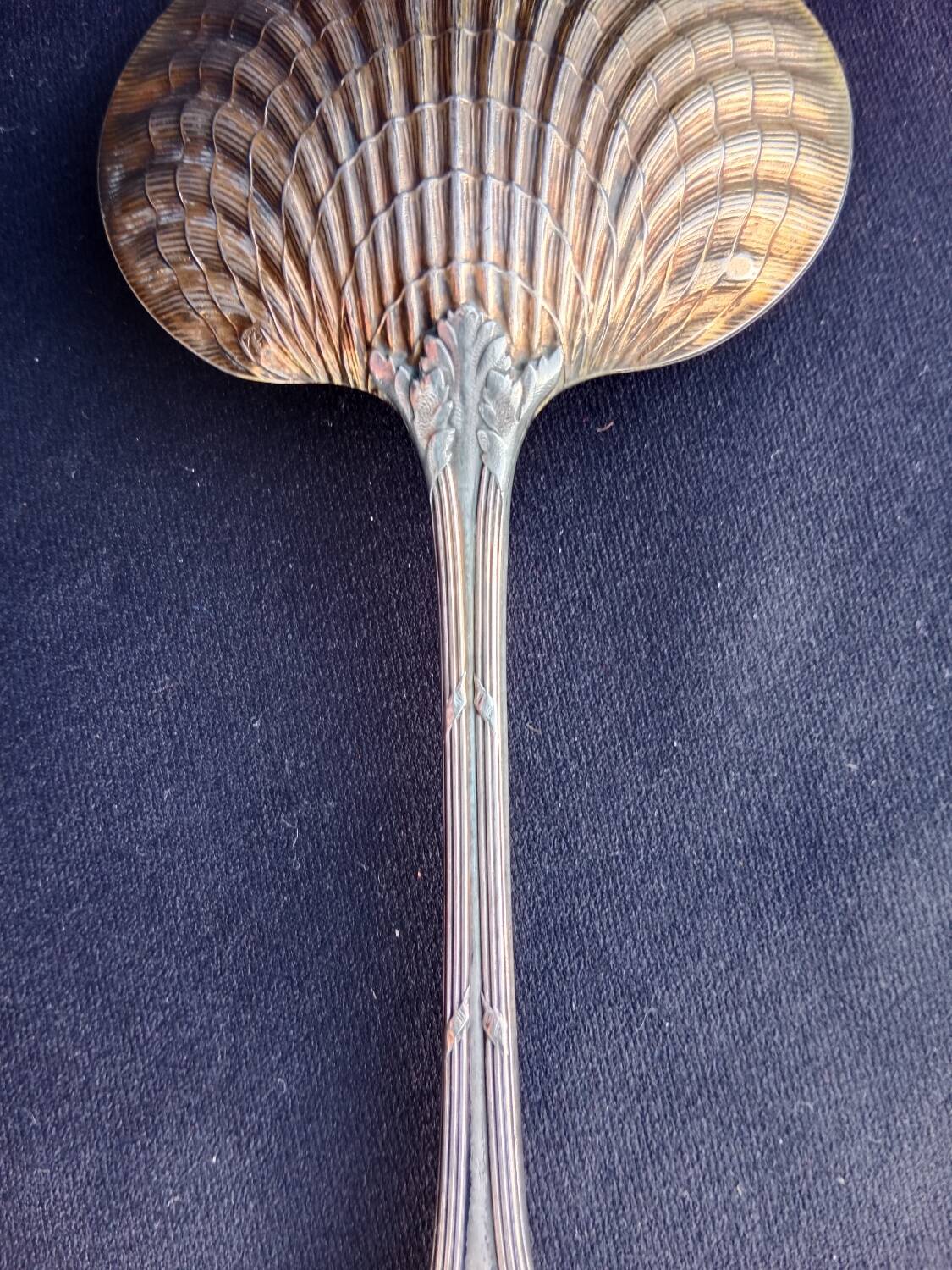 Strawberry shovel XIX.