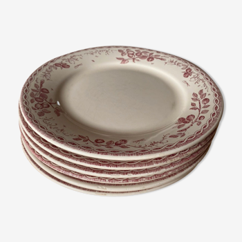 Flat porcelain plates