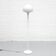 Floor Lamp by Goffredo Reggiani for Reggiani