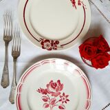 Flat plates in earthenware