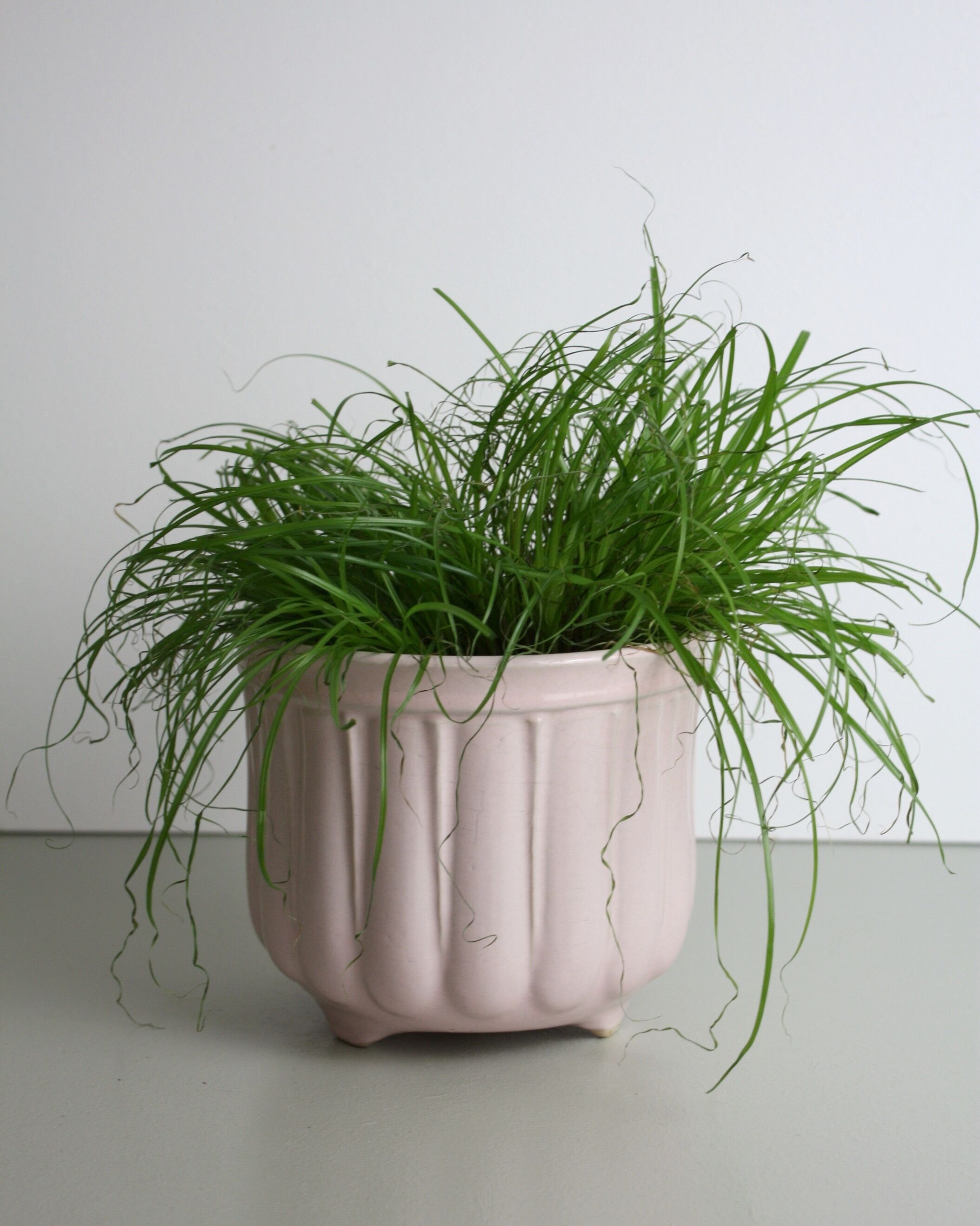 Pink glazed ceramic pot cover