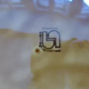 5 asparagus plates, 1 Sarreguemines dish L1 / 200106