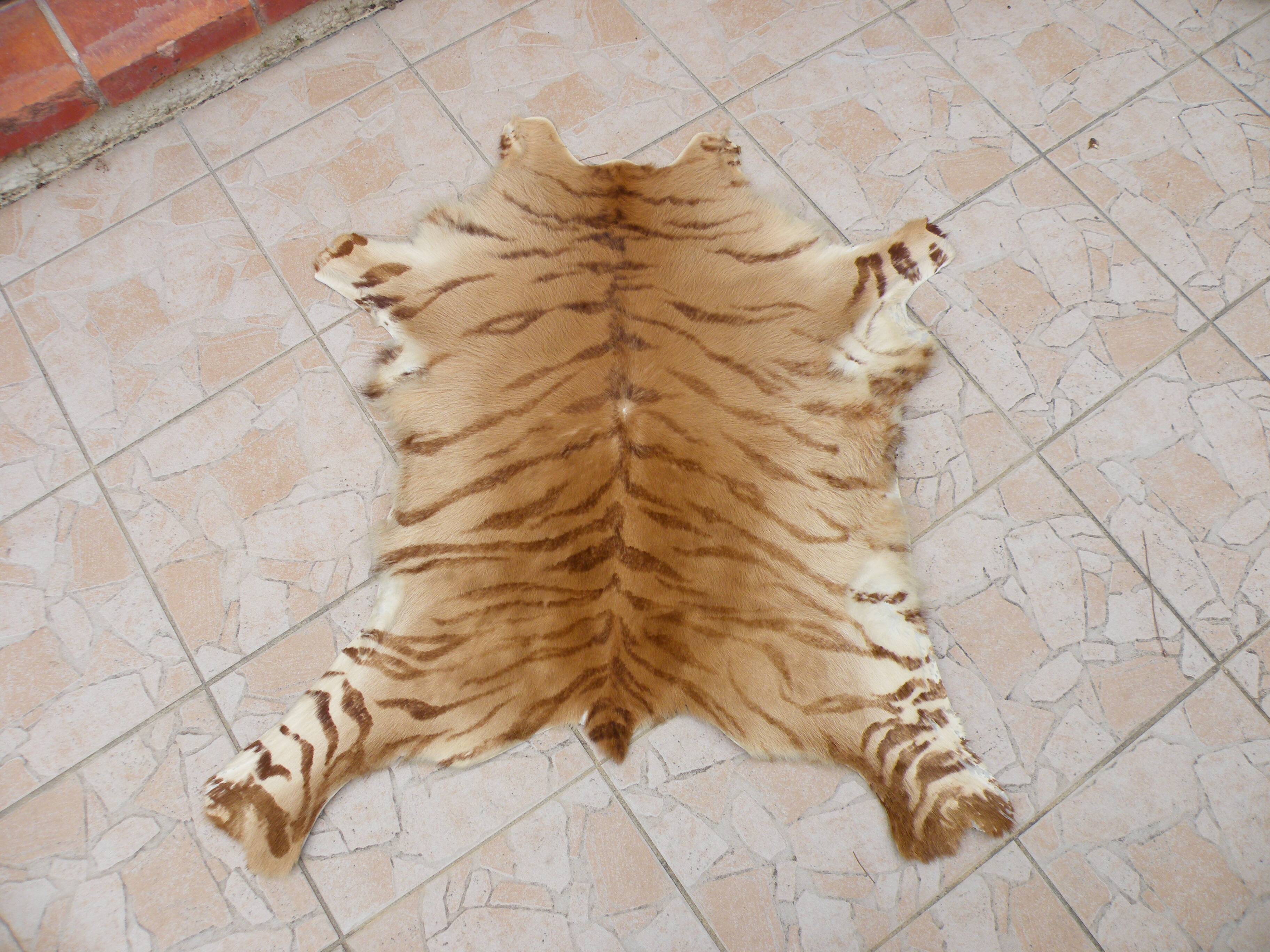 Tiger calf skin