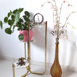 Brass plant holder