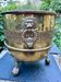 Cache-pot en laiton massif lion Art Nouveau