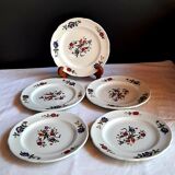 Lot de 5 assiettes à dessert