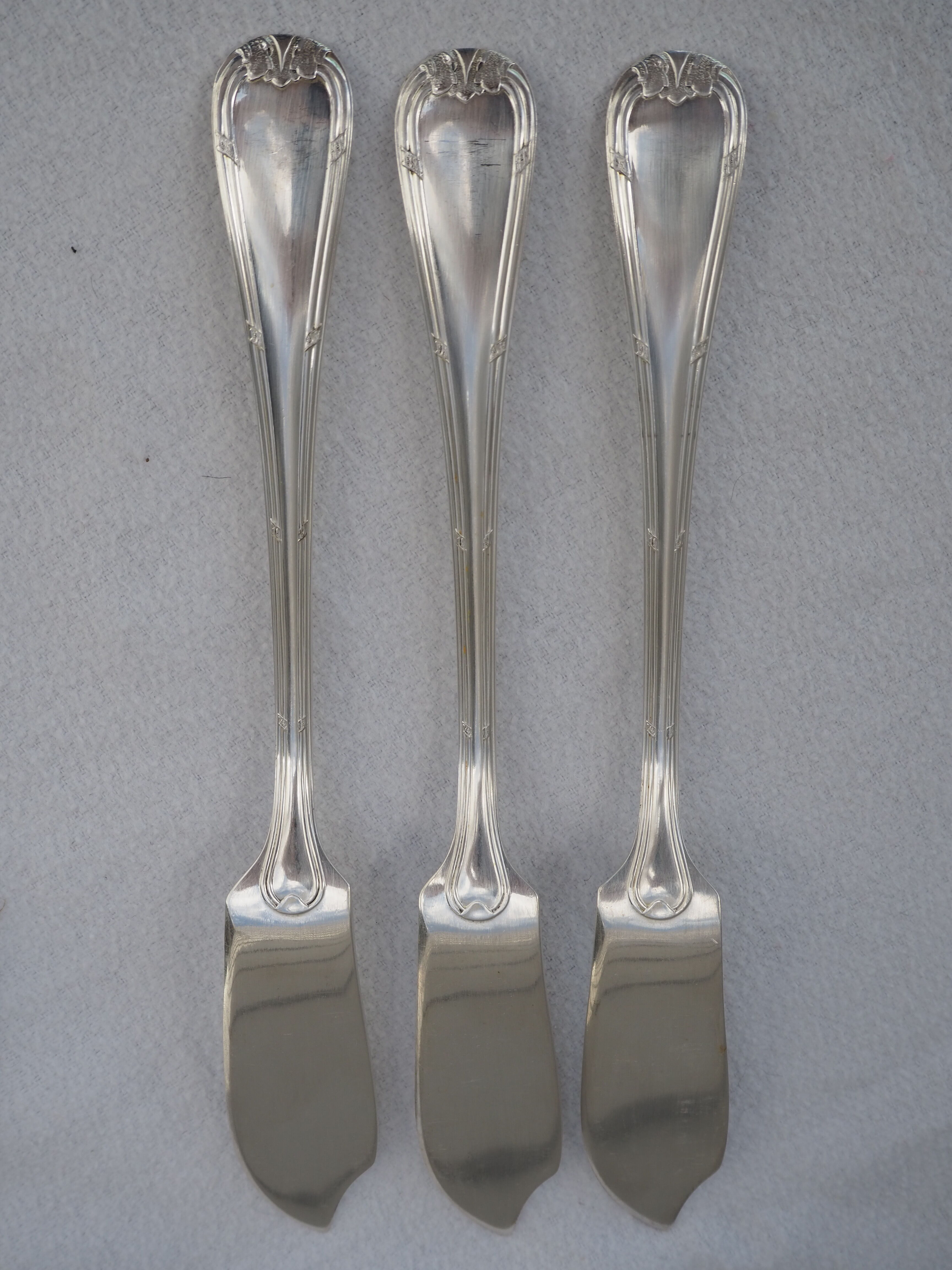 Fish service and its 6 silver-plated cutlery, crossed ribbon model
