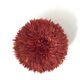 Juju hat rouille 50 cm