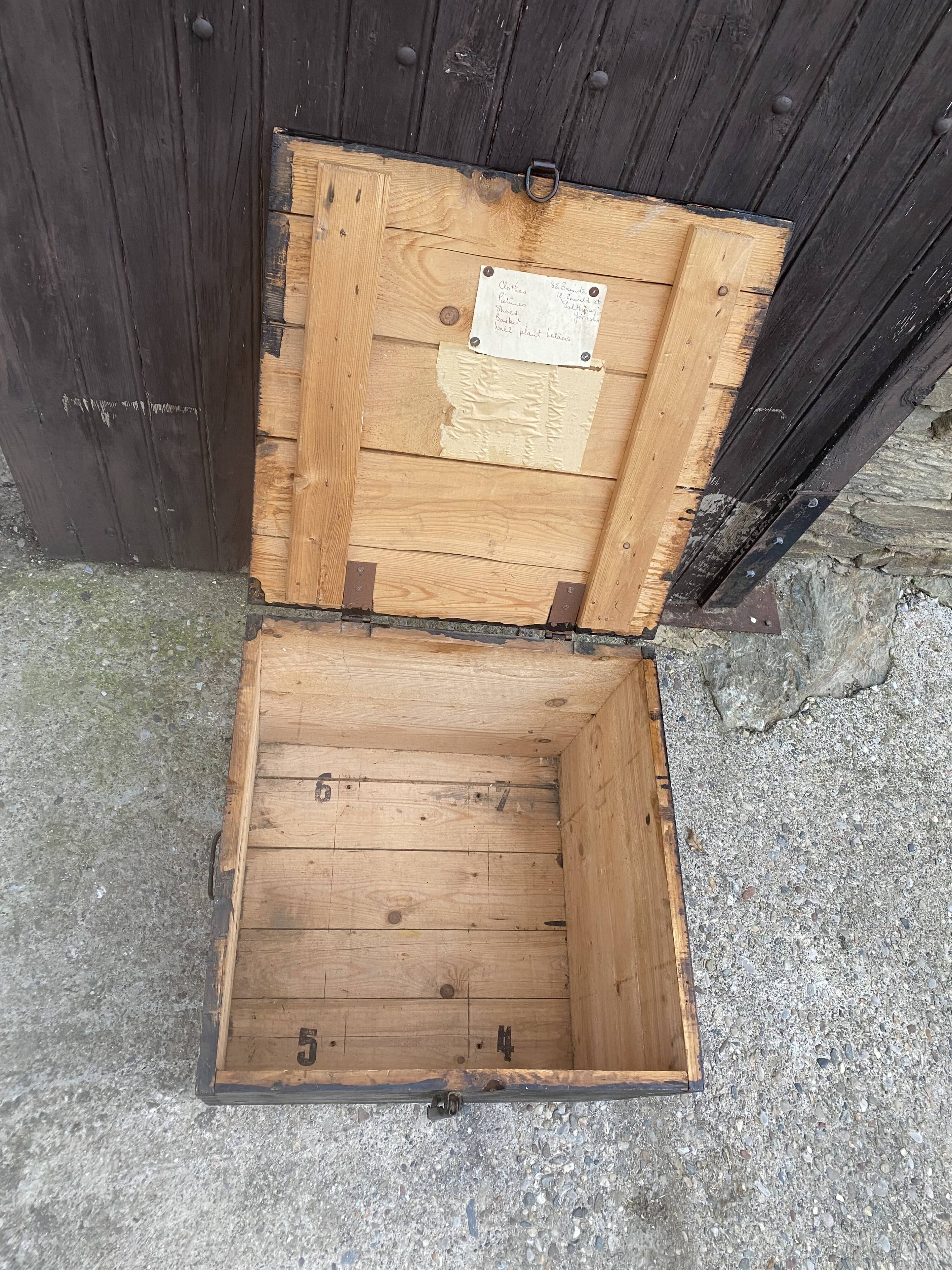 Large old trunk