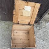 Large old trunk