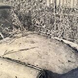 The trabant