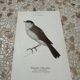 Gravure botanique ancienne planche naturaliste oiseaux 1903