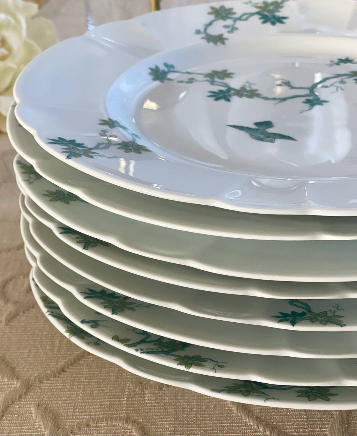 8 Haviland Limoges dinner plates.