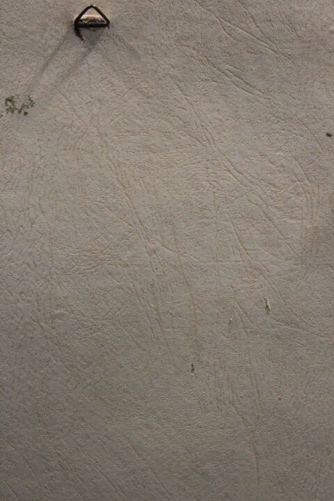 Botanical board framed PJ Dreaded