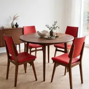 Skai chairs 1960
