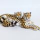 Large porcelain sculpture pair of leopards Italy 1970s Ronzan style