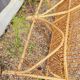 Rattan bench