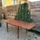 Table scandinave 60s