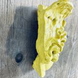 Moulage Appolon