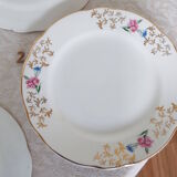 6 flat flowered plates