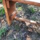 Old farm benches