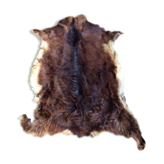 Goat skin