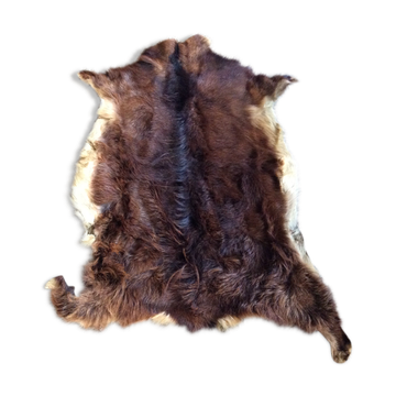 Goat skin