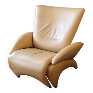 Fauteuil De Sede DS-260