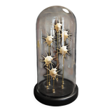 Cabinet of Curiosities globe with pearly Guildfordia Yoka shells