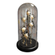 Cabinet de Curiosités globe aux coquillages guildfordia yoka nacrés