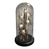 Cabinet of Curiosities globe with pearly Guildfordia Yoka shells