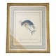 Vintage frame drawing of a bird - Japanese Nightingale