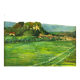 Huile sur panneau bien encadrée