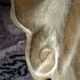 Set of 4 solid bronze furniture legs – new