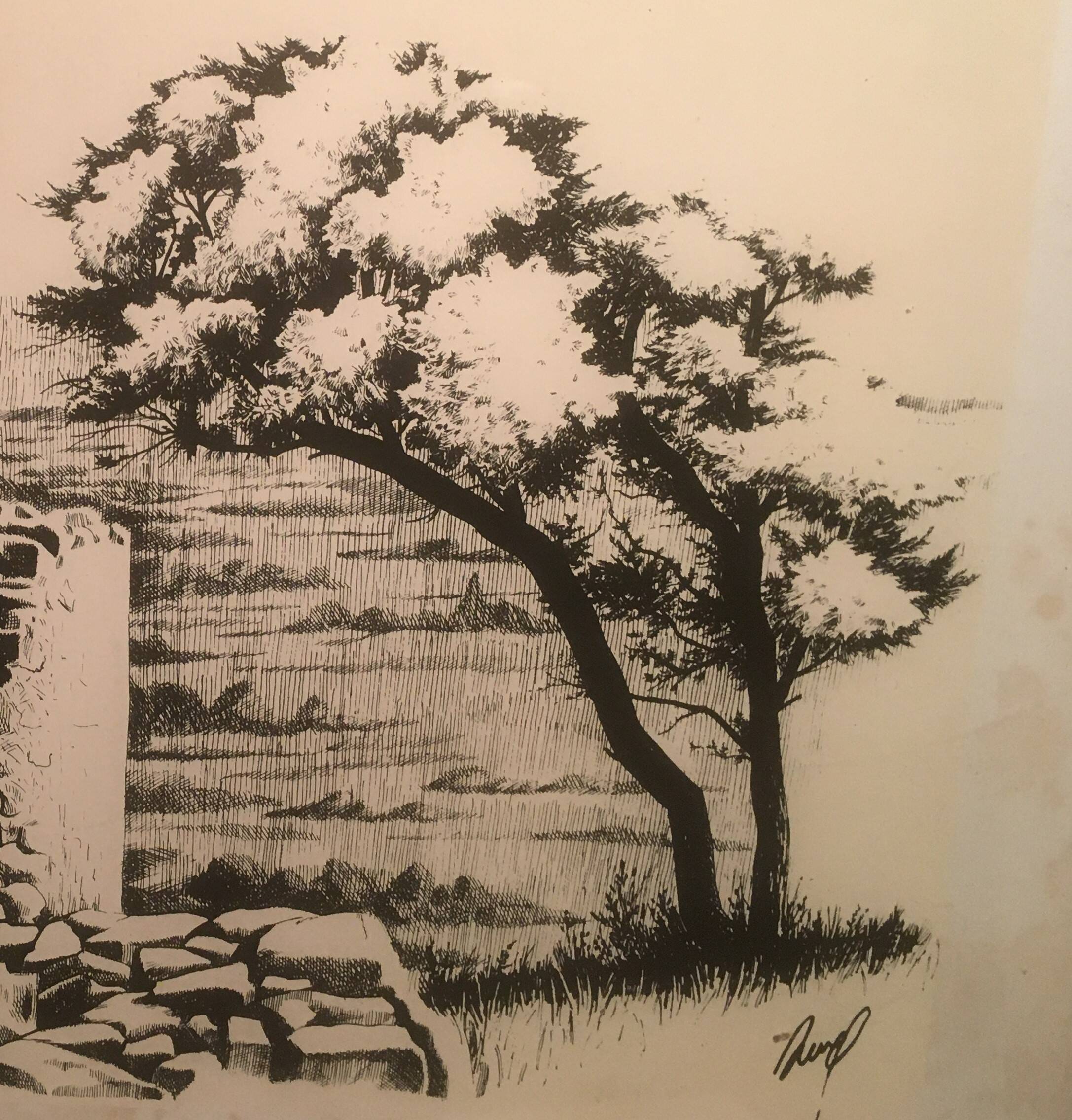 Illustration/signed paper print, framed, 60s/70s