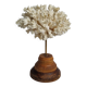Antique ornamental coral Acropora on solid wood base, 18 cm