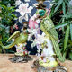 Set of 2 decorative brass candle holders porcelain parrots