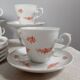 6 flowery white Bavarian porcelain cups & saucers, Seltmann Weiden 1950