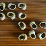 Lot of 12 enamelled sandstone snail shells