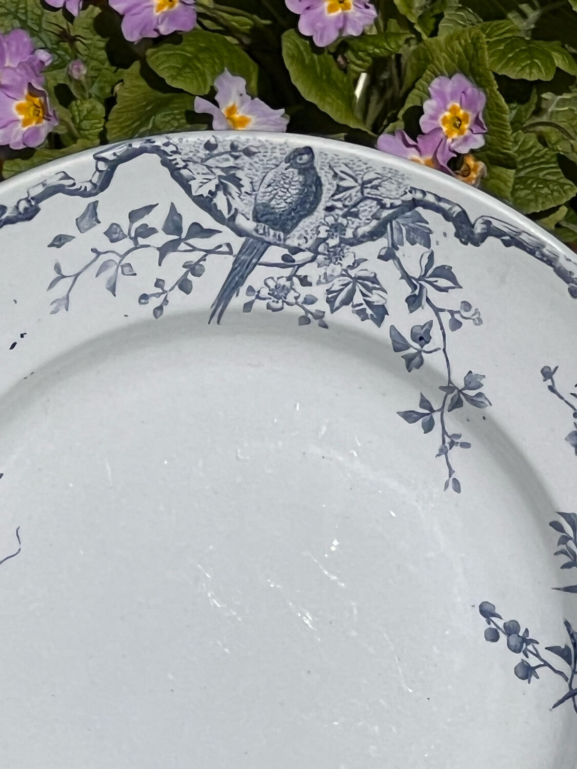 Round earthenware dish iron earth Keller and Guérin Lunéville ''Rambouillet''