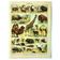 Antique engraving 1897 A. Millot - Mammals 3, animals, zoology