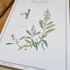 Printed in 1986, the Sage. Vintage Botany.