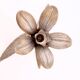 floral candle holder decoration regency